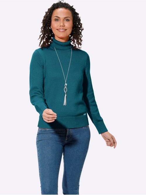 Pull à col roulé avec coton - taille standard - witt - Kiabi