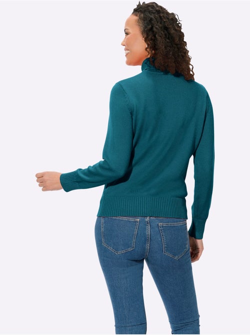Pull à col roulé avec coton - taille standard - witt - Kiabi