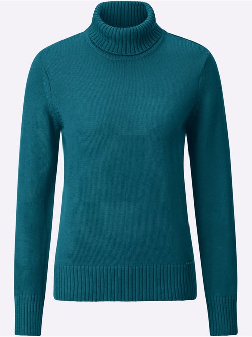 Pull à col roulé avec coton - taille standard - witt - Kiabi