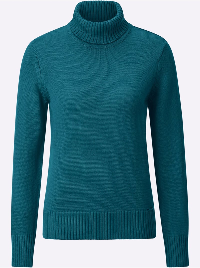 Pull à col roulé avec coton - taille standard - witt Bleu pétrole - Kiabi