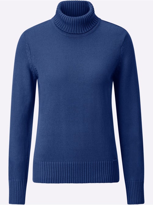 Pull à Col Roulé Avec Coton - Taille Standard - Witt - Kiabi Pull à Col Roulé Avec Coton - Taille Standard - Witt - Kiabi