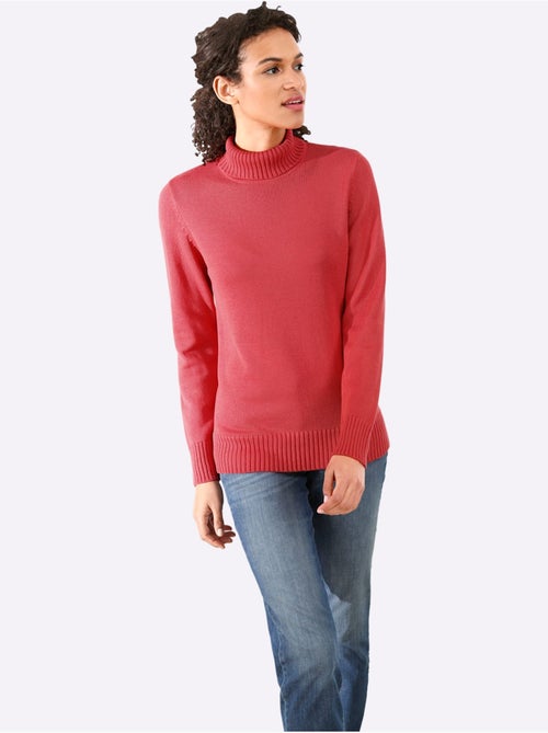 Pull à col roulé avec coton - taille standard - witt - Kiabi Pull à col roulé avec coton - taille standard - witt - Kiabi