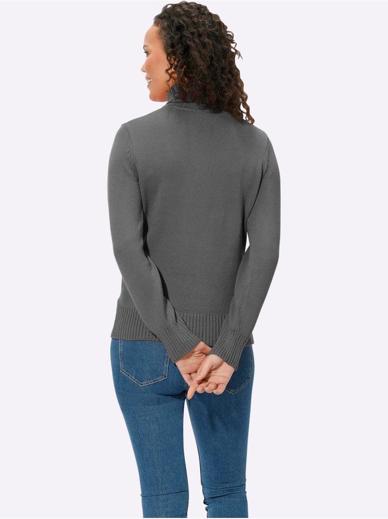Pull à Col Roulé Avec Coton - Taille Standard - Witt Gris chiné - Kiabi