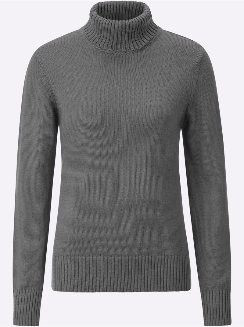 Pull à Col Roulé Avec Coton - Taille Standard - Witt Gris chiné - Kiabi