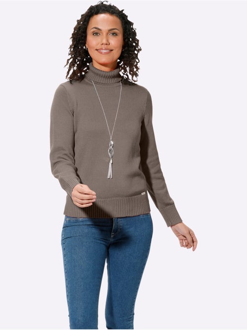 Pull à Col Roulé Avec Coton - Taille Standard - Witt - Kiabi Pull à Col Roulé Avec Coton - Taille Standard - Witt - Kiabi