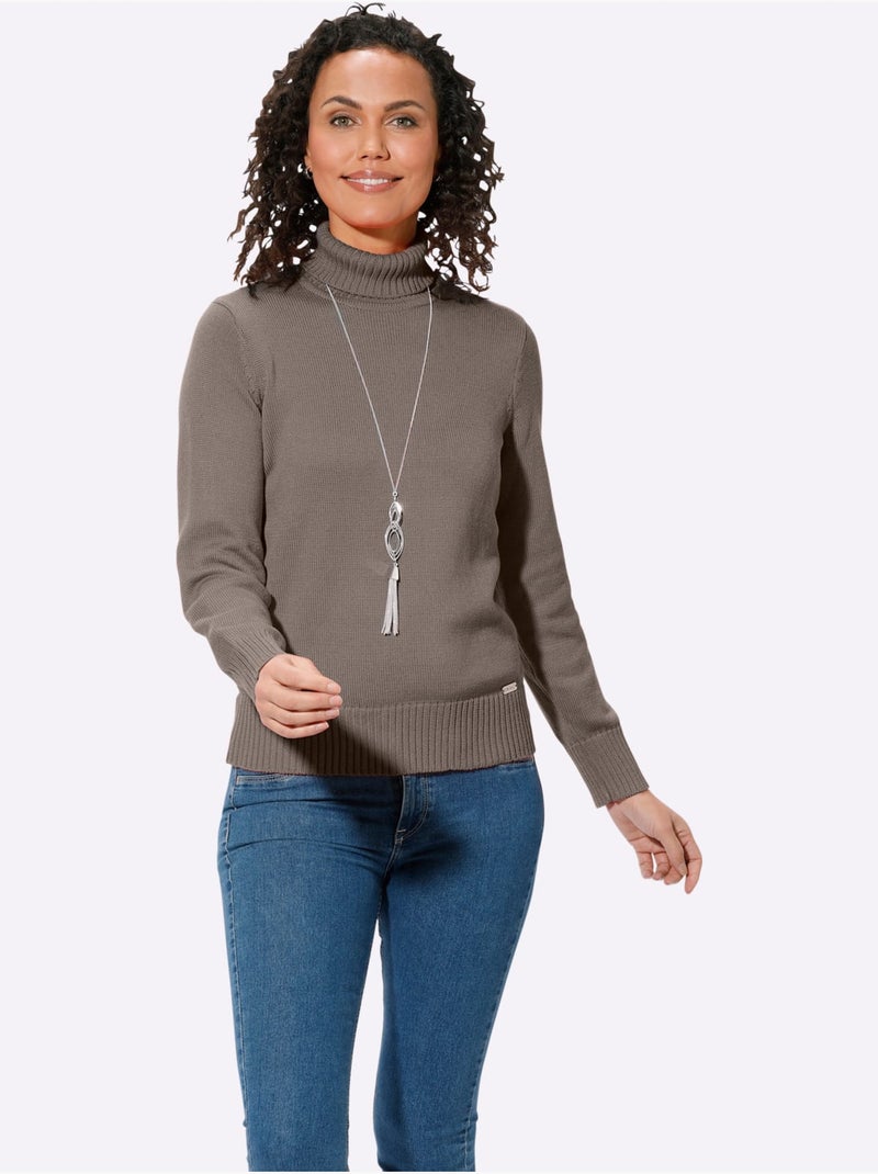 Pull à Col Roulé Avec Coton - Taille Standard - Witt Gris taupe - Kiabi