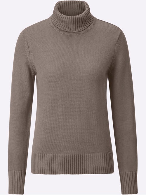Pull à Col Roulé Avec Coton - Taille Standard - Witt - Kiabi Pull à Col Roulé Avec Coton - Taille Standard - Witt - Kiabi