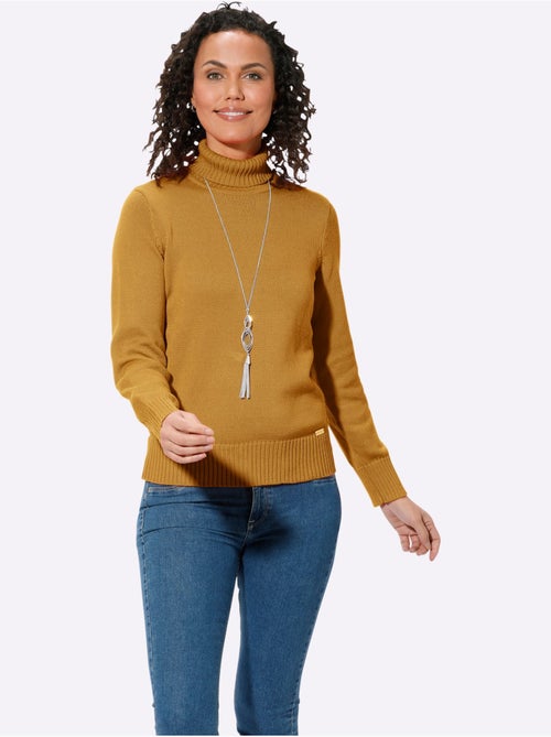 Pull à Col Roulé Avec Coton - Taille Standard - Witt - Kiabi Pull à Col Roulé Avec Coton - Taille Standard - Witt - Kiabi