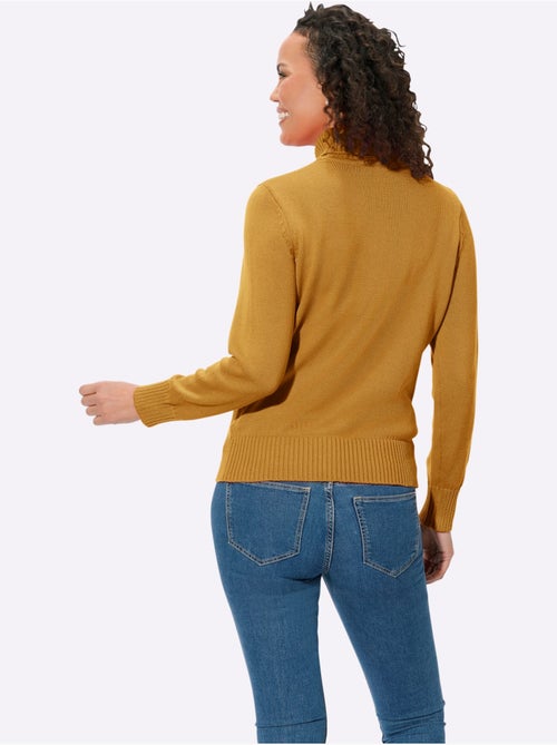 Pull à Col Roulé Avec Coton - Taille Standard - Witt - Kiabi Pull à Col Roulé Avec Coton - Taille Standard - Witt - Kiabi