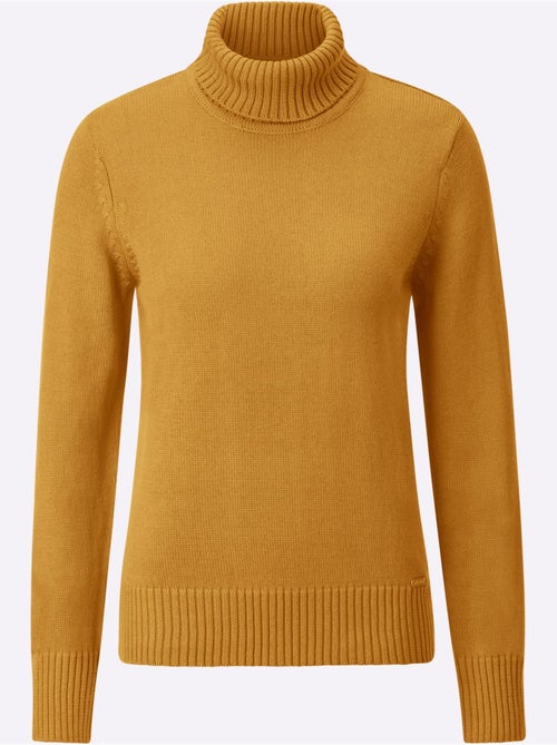 Pull à Col Roulé Avec Coton - Taille Standard - Witt - Kiabi Pull à Col Roulé Avec Coton - Taille Standard - Witt - Kiabi