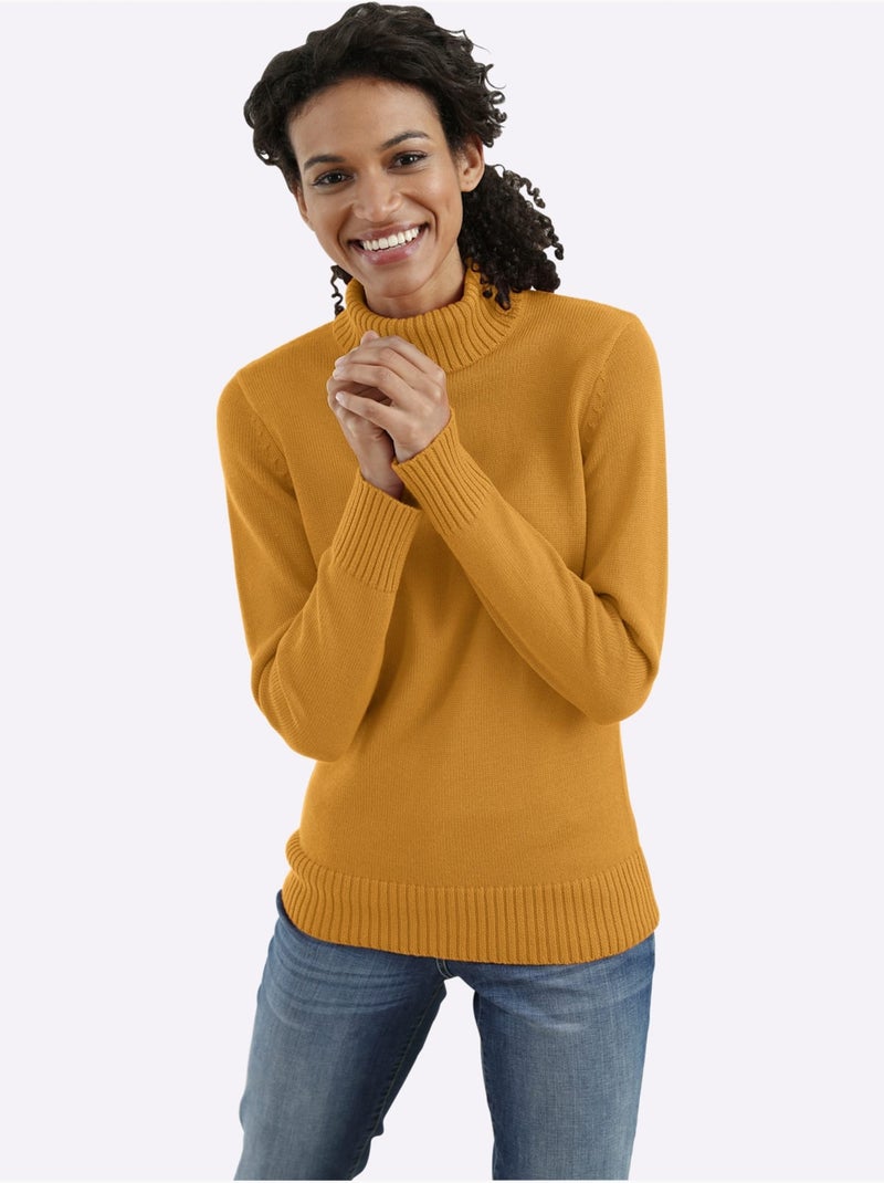 Pull à Col Roulé Avec Coton - Taille Standard - Witt Jaune - Kiabi