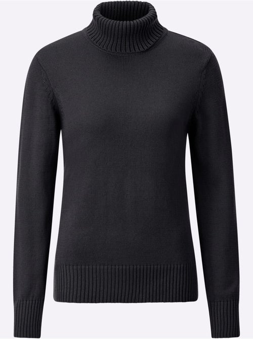 Pull à Col Roulé Avec Coton - Taille Standard - Witt - Kiabi Pull à Col Roulé Avec Coton - Taille Standard - Witt - Kiabi