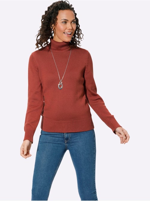 Pull à Col Roulé Avec Coton - Taille Standard - Witt - Kiabi Pull à Col Roulé Avec Coton - Taille Standard - Witt - Kiabi
