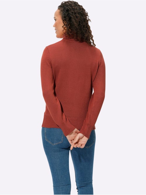 Pull à Col Roulé Avec Coton - Taille Standard - Witt - Kiabi Pull à Col Roulé Avec Coton - Taille Standard - Witt - Kiabi