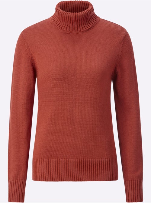 Pull à Col Roulé Avec Coton - Taille Standard - Witt - Kiabi Pull à Col Roulé Avec Coton - Taille Standard - Witt - Kiabi
