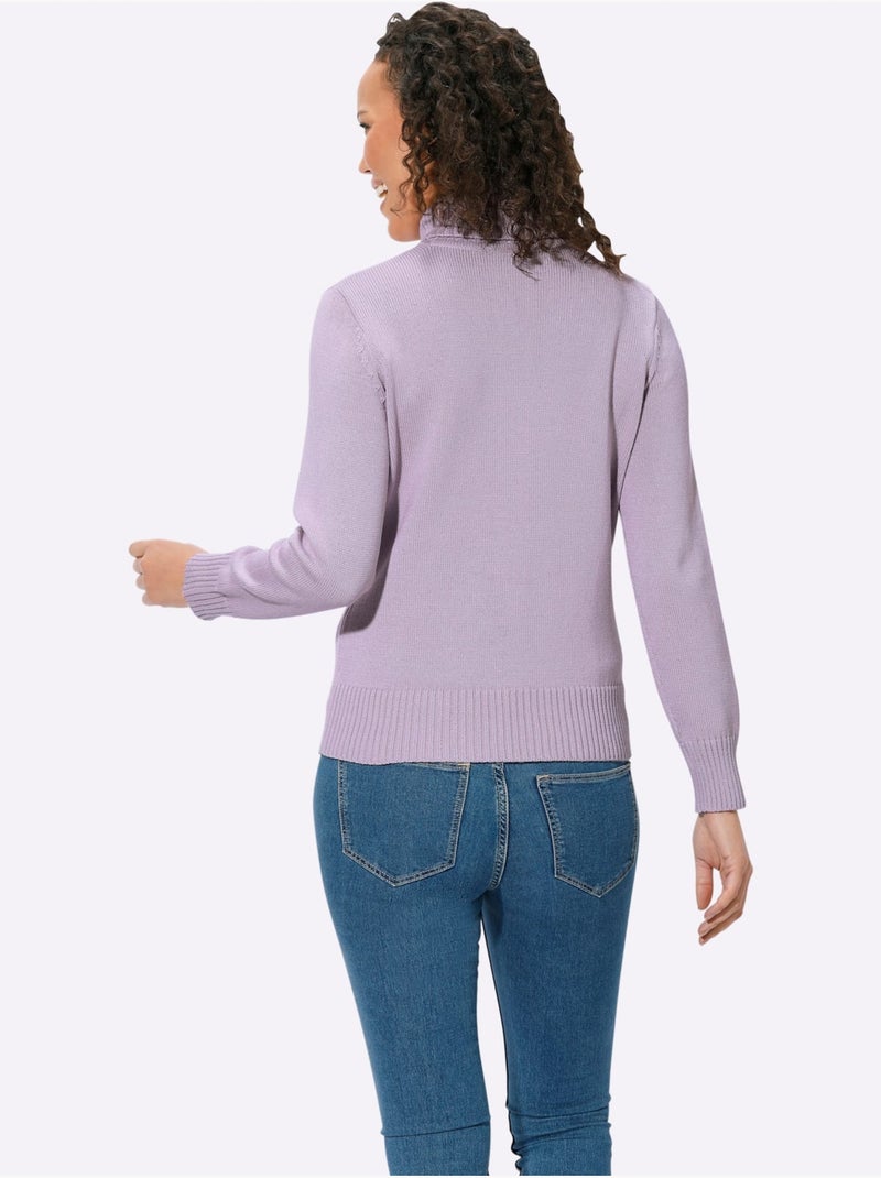 Pull à Col Roulé Avec Coton - Taille Standard - Witt Parme - Kiabi