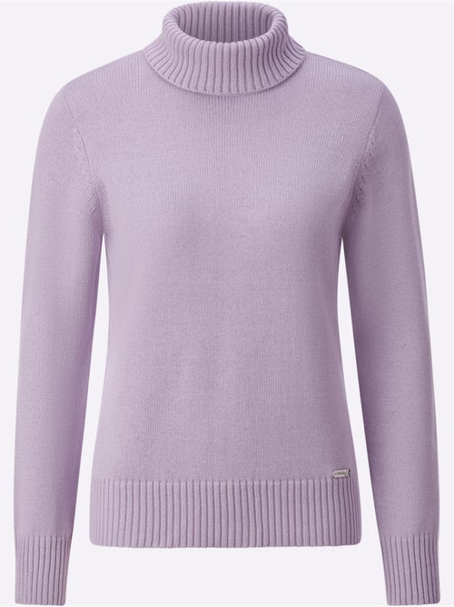 Pull à Col Roulé Avec Coton - Taille Standard - Witt - Kiabi Pull à Col Roulé Avec Coton - Taille Standard - Witt - Kiabi