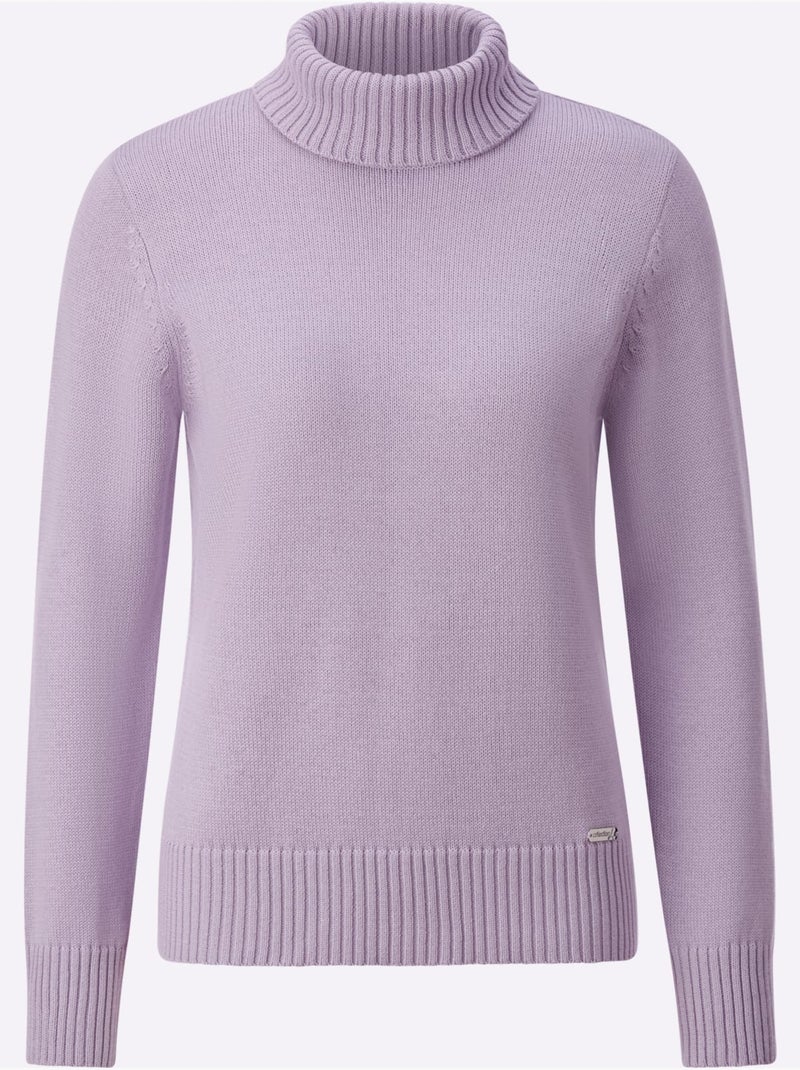 Pull à Col Roulé Avec Coton - Taille Standard - Witt Parme - Kiabi