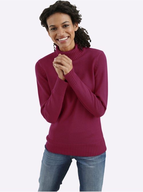 Pull à Col Roulé Avec Coton - Taille Standard - Witt - Kiabi