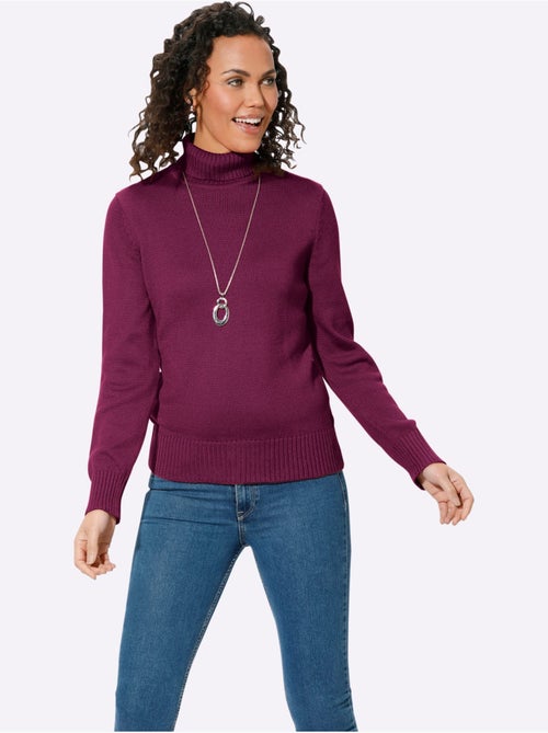 Pull à Col Roulé Avec Coton - Taille Standard - Witt - Kiabi