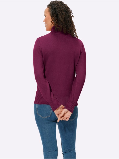 Pull à Col Roulé Avec Coton - Taille Standard - Witt - Kiabi