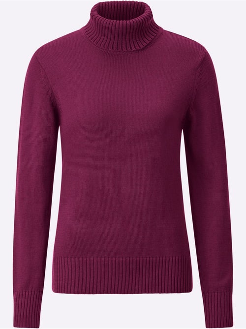 Pull à Col Roulé Avec Coton - Taille Standard - Witt - Kiabi