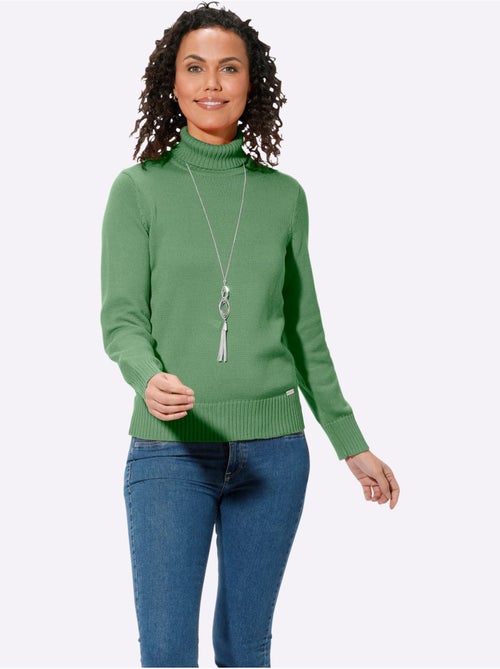 Pull à Col Roulé Avec Coton - Taille Standard - Witt - Kiabi Pull à Col Roulé Avec Coton - Taille Standard - Witt - Kiabi