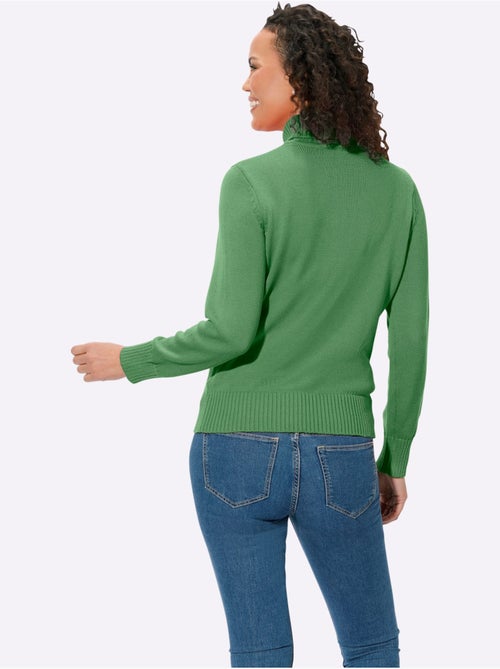 Pull à Col Roulé Avec Coton - Taille Standard - Witt - Kiabi Pull à Col Roulé Avec Coton - Taille Standard - Witt - Kiabi