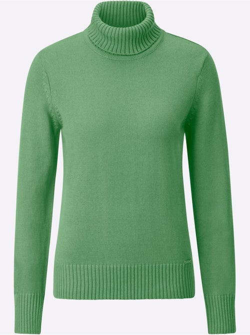 Pull à Col Roulé Avec Coton - Taille Standard - Witt - Kiabi Pull à Col Roulé Avec Coton - Taille Standard - Witt - Kiabi
