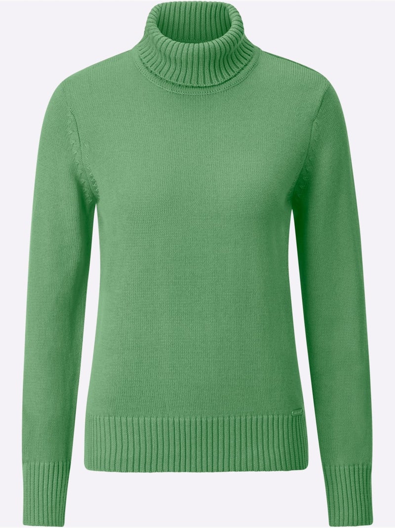 Pull à Col Roulé Avec Coton - Taille Standard - Witt Vert clair - Kiabi