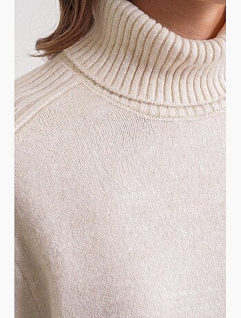 Pull à col roulé côtelé texturé mixray