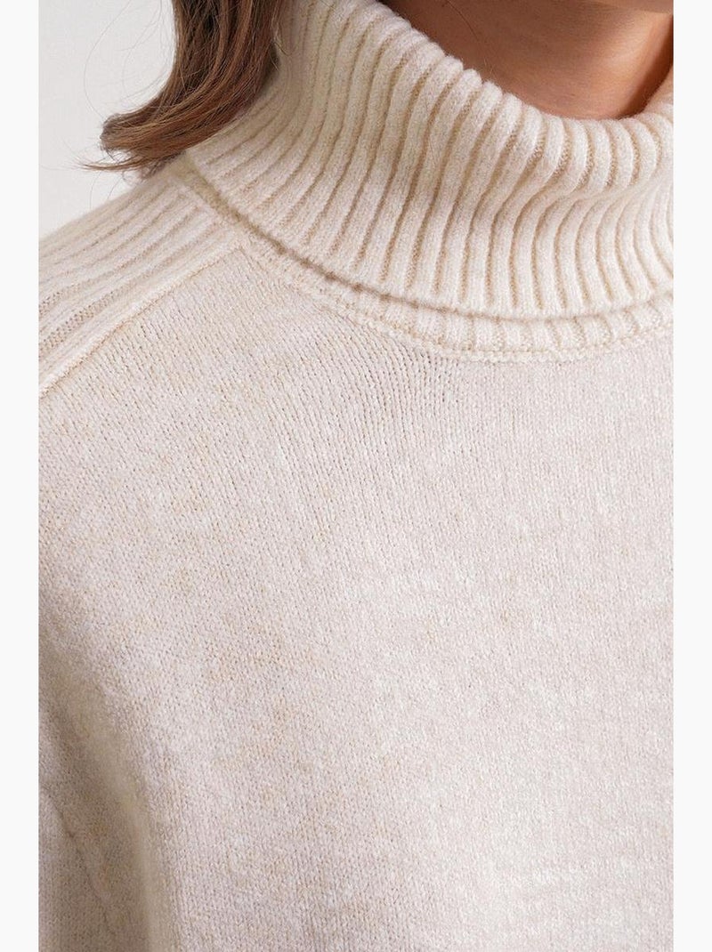 Pull à col roulé côtelé texturé mixray Beige - Kiabi