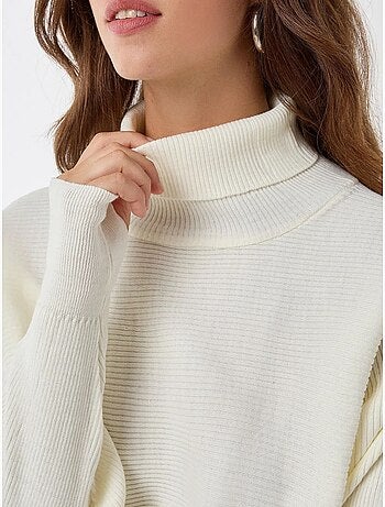 Pull à col roulé coupe décontractée