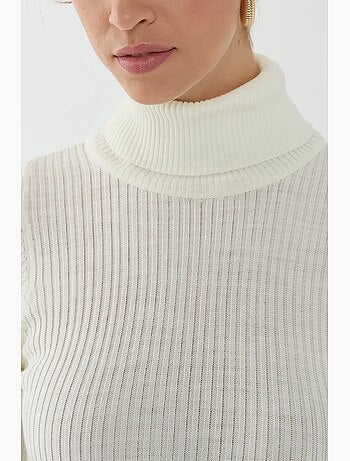 Pull à col roulé coupe slim hiccup