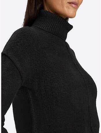 Pull à col roulé couture centrale devant - taille standard - helline