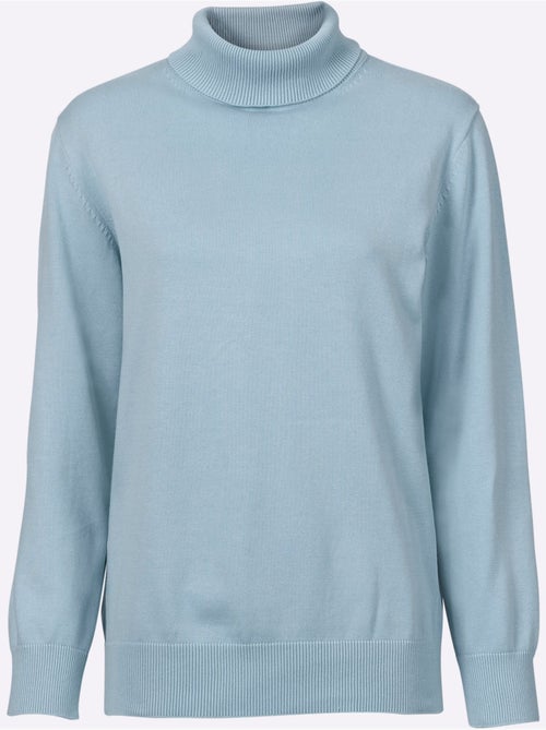 Pull à col roulé en coton et manches côtelées - taille standard - witt - Kiabi Pull à col roulé en coton et manches côtelées - taille standard - witt - Kiabi