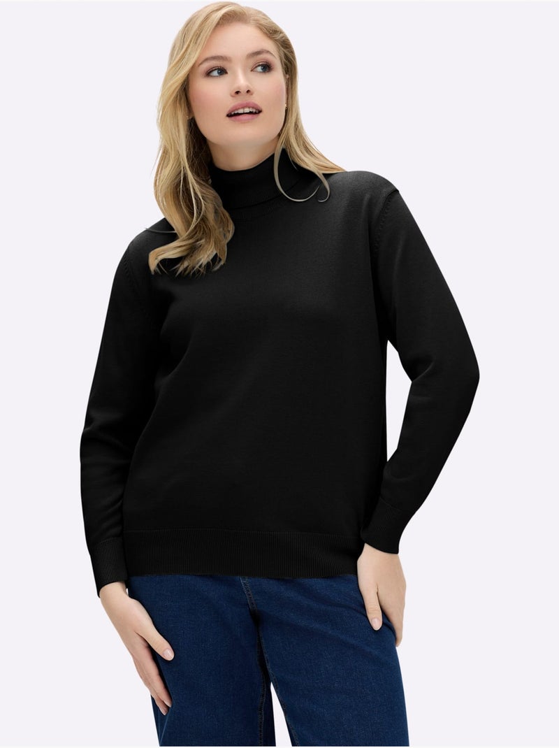 Pull à col roulé en coton et manches longues - taille standard - witt Noir - Kiabi