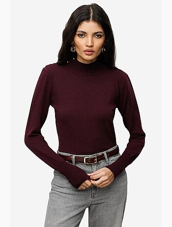 Pull à col roulé en maille d'épaisseur moyenne mixray