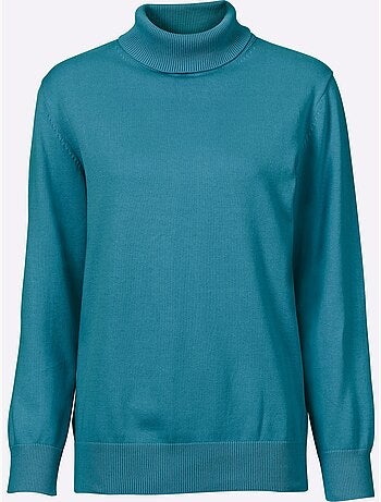 Pull à col roulé en coton et manches longues - taille standard - witt