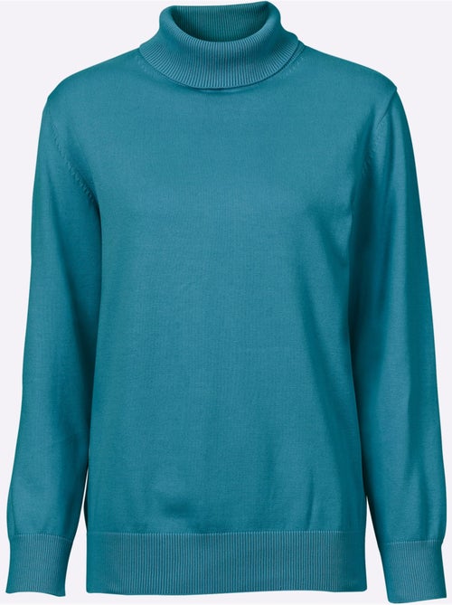 Pull à col roulé pur coton - taille standard - witt - Kiabi Pull à col roulé pur coton - taille standard - witt - Kiabi
