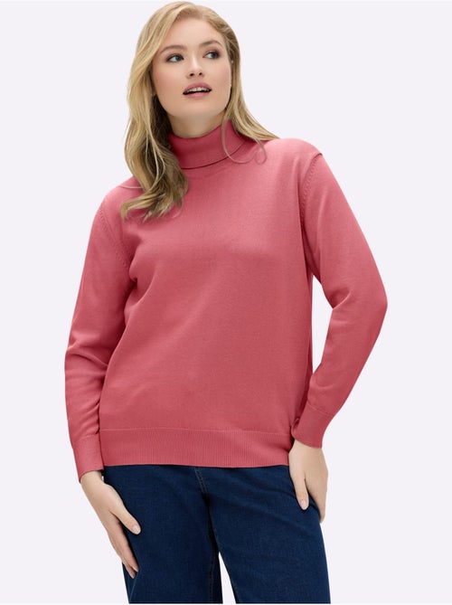 Pull à col roulé pur coton - taille standard - witt - Kiabi Pull à col roulé pur coton - taille standard - witt - Kiabi
