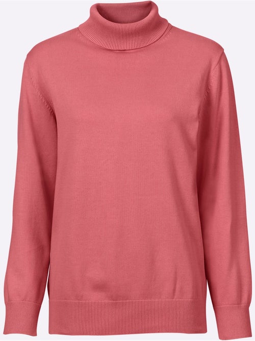 Pull à col roulé pur coton - taille standard - witt - Kiabi Pull à col roulé pur coton - taille standard - witt - Kiabi