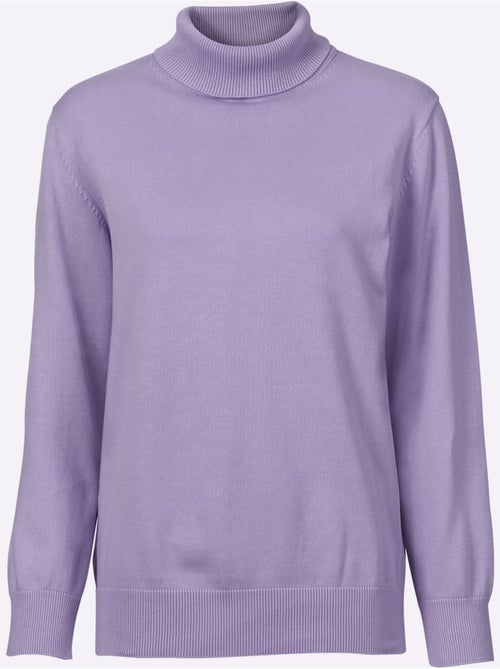 Pull à col roulé pur coton - taille standard - witt - Kiabi