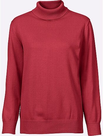 Pull à col roulé en coton et manches longues - taille standard - witt