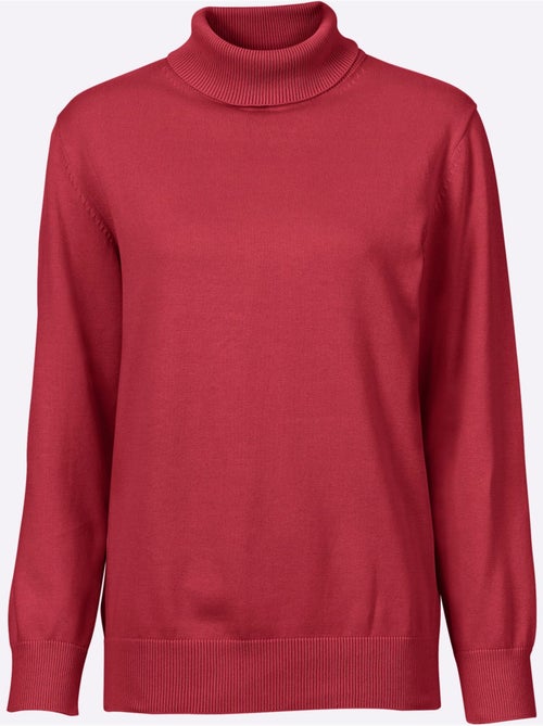 Pull à col roulé pur coton - taille standard - witt - Kiabi Pull à col roulé pur coton - taille standard - witt - Kiabi