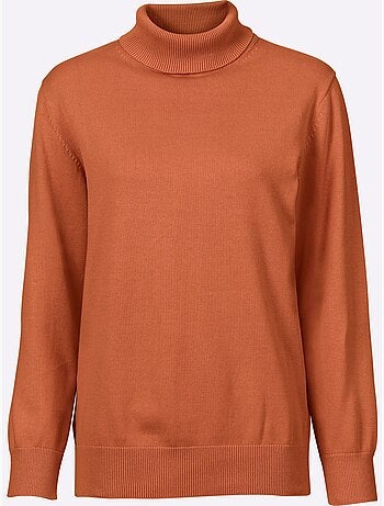 Pull à col roulé en coton et manches longues - taille standard - witt