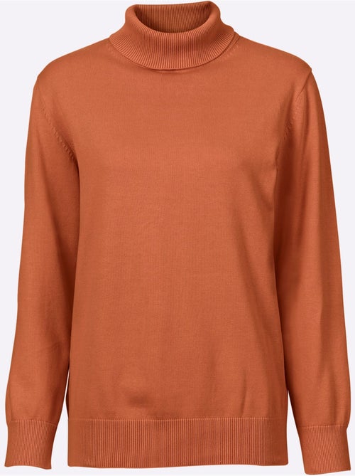 Pull à col roulé pur coton - taille standard - witt - Kiabi