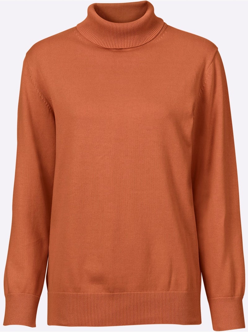 Pull à col roulé pur coton - taille standard - witt Terre cuite - Kiabi