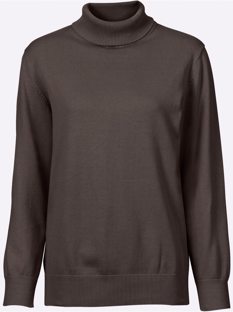 Pull à col roulé pur coton et manches longues - taille standard - witt Marron - Kiabi