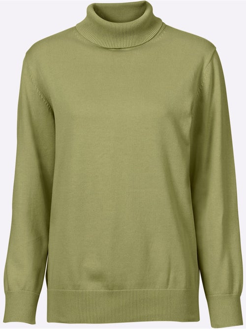 Pull à col roulé pur coton et manches longues - taille standard - witt - Kiabi Pull à col roulé pur coton et manches longues - taille standard - witt - Kiabi